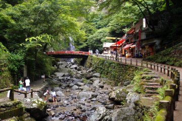 <p>Minoh Waterfall</p>