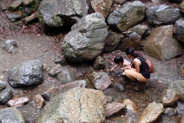 <p>Immerse in nature</p>