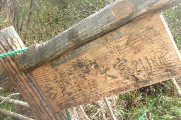Trail signposts - sometimes they are overgrown by the lush green vegetation