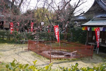 <p>Fire pit protected by an iron fence</p>