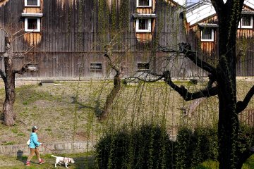 <p>It's a pleasant place to take a stroll or walk the dog</p>
