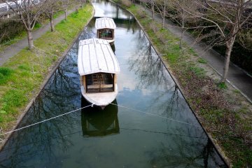 <p>Boats moored between the cherry trees</p>