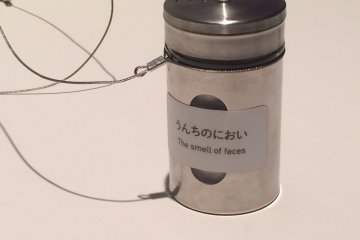 The smell of feces