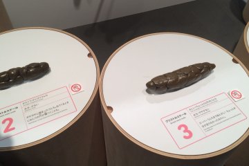 The types of feces