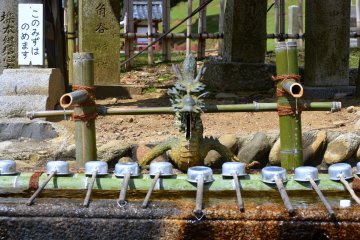 Clean your hands or face before entering the temple