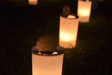 <p>Candles light up at Nara Tokae</p>