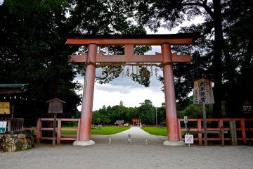 Kamigamo Shrine: A Place of Healing