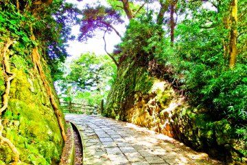 <p>A great escape from the heat! One of Kannonzaki Park's forest paths</p>