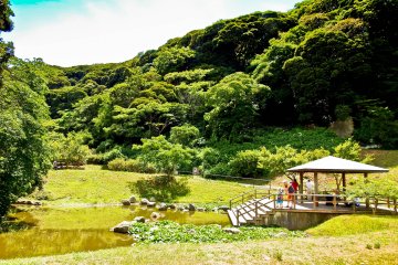<p>&lsquo;Fureai-no-Suihen&rsquo;, situated towards the eastern side of Kannozaki Park. Overlooking a picturesque pond, this area is great for meeting some locals as most tourists don't come this far</p>