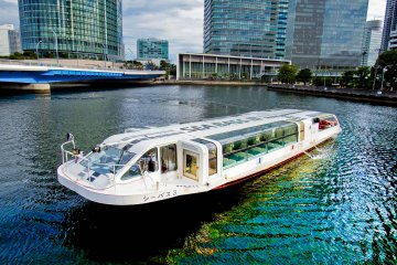 Yokohama 'Sea Bass'