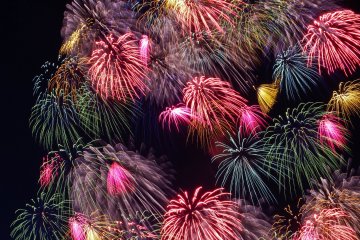 <p>Truly dazzling! Some of the several beautiful multi-colored displays</p>