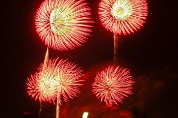 <p>Several red tinted flares exploding together&nbsp;</p>