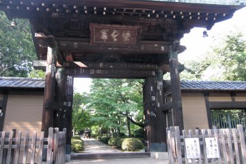 Gotoku-ji: Temple for Cat Lovers