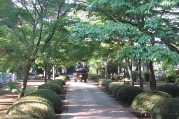 <p>The first walkway upon entering the temple grounds, filled with lush greenery.</p>