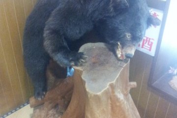 <p>The stuffed bear in the resting area.</p>