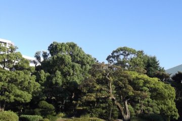 <p>The former Yasuda garden</p>