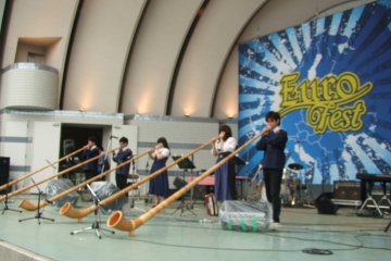 <p>Alphorn performance</p>