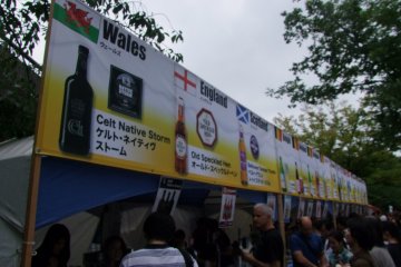 <p>International beers</p>