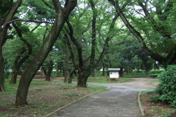 <p>A popular place for runners</p>