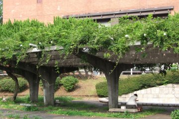 <p>A shady place to sit</p>