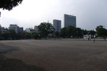 <p>Not much grass in this "park"</p>