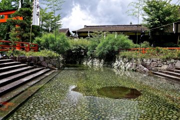 <p>Mitarashi-no-ike Pond in summer</p>