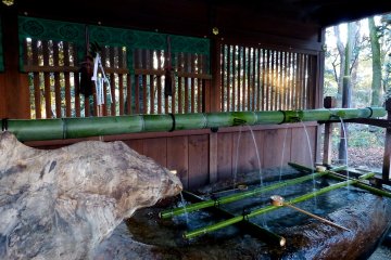 <p>Water flowing from a bamboo pipe</p>