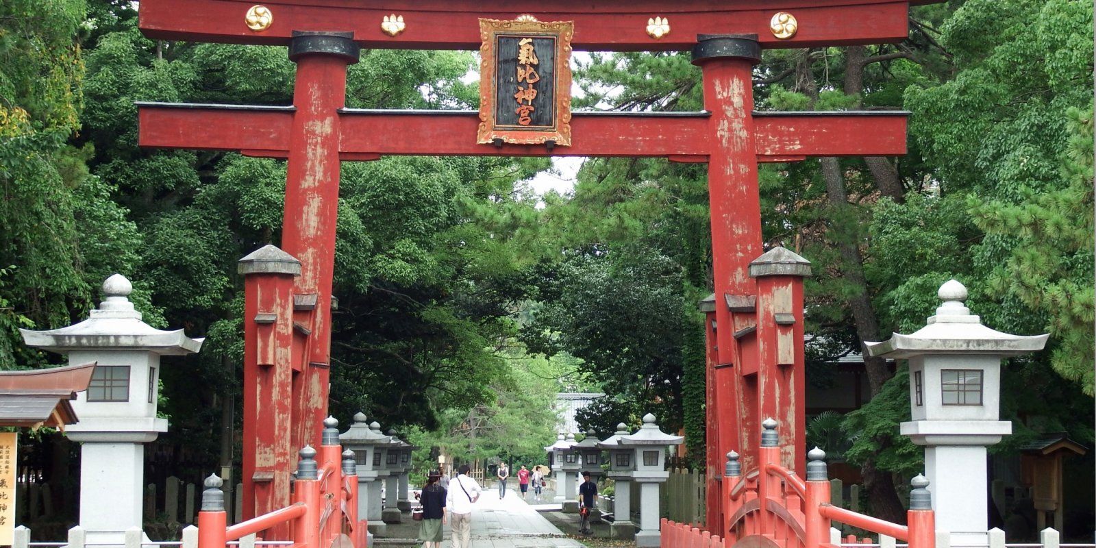 region image