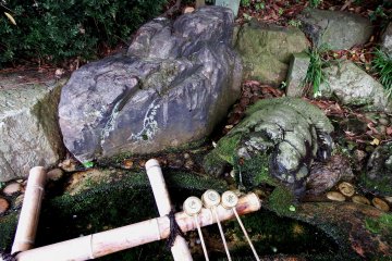 <p>This is 'Choumei-sui', the 'Power Water for Longevity'!</p>