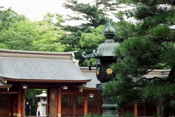<p>Bronze lantern, pine tree and Shinmon Gate (God's Gate) viewed from prayer hall</p>