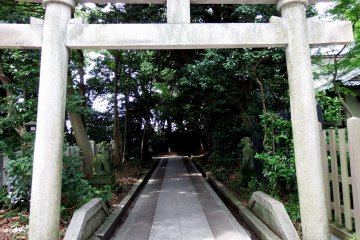 <p>As soon as you enter the main torii gate of Kehi Jingu Shrine, you'll see on the left the small stone torii gate and pathway leading to one of the smaller shrines on the grounds</p>