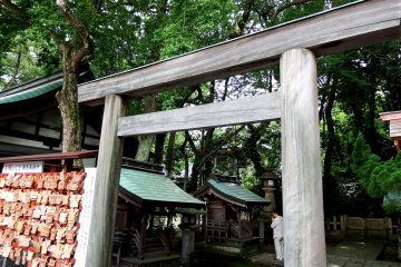 <p>Entrance torii gate to 'Kusha-no-miya (Nine shrines)'</p>