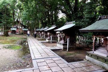 <p>Inside 'Kushanomiya (Nine Shrines)', there are nine smaller, similar shrines lined up</p>
