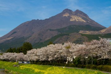 Yufu City: Immersed in Nature