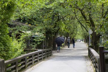 <p>This straight thoroughfare lined with cherry trees below the historic gates was where samurai trained in horse riding techniques</p>