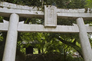 <p>The torii&nbsp;below Kuromon and Suiyou Shrine; note the stones on top, thrown there for good luck</p>
