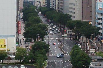 Miyagino Dori - Eagle Road