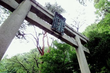 <p>The main (first) Torii Gate of Kanegasaki Shrine</p>