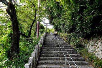 <p>Go up the long stone stairs to the shrine</p>