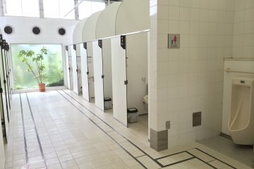 <p>The spacious and immaculate restroom for women and their small children</p>