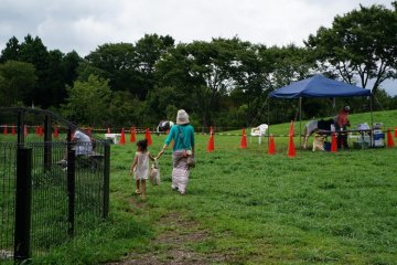 Pony rides!