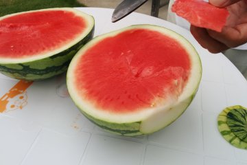 <p>Okui-san prepares the watermelon</p>