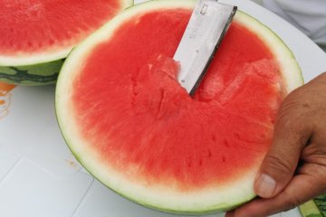 <p>Getting ready to eat</p>