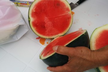 <p>Cutting the black watermelon</p>