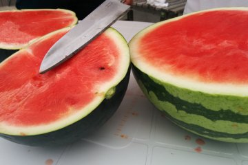 <p>Comparing watermelons</p>
