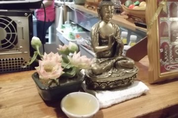 <p>This little chap watched serenely as I feasted.</p>