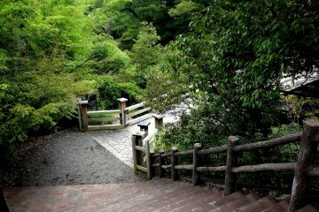 <p>Steps lead down to the bridge</p>