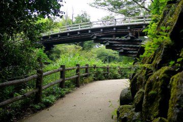 <p>View of Saruhashi from a path that descends into the gorge</p>