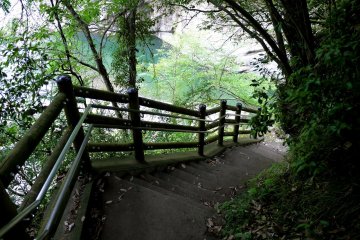 <p>Path down to the river</p>