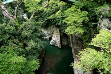 <p>Looking down at the river</p>